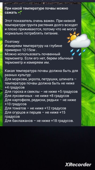🌡 При какой температуре можно высаживать рассаду? 🌱 - YouTube