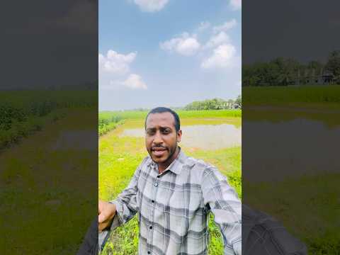 মিখকেস মিখকেস খ কী #ট্রেন্ডিংশর্ট #funny #funyvido #comedy #comedyvidoes #unfrezzmyaccount #funtime