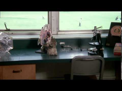 Bug - Trailer