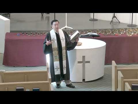 Related Embedded Video Item Thumbnail