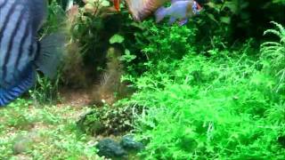 DSCF0597