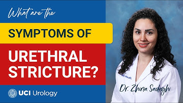 What are the Symptoms of Urethral Stricture? by Dr. Zhina Sadeghi - UC Irvine Department of Urology