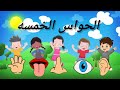 اغنيه انا انسان لي احساس بدون موسيقي الحواس الخمسه حواديت اطفال قصص اطفال كرتون Arabic Songs 