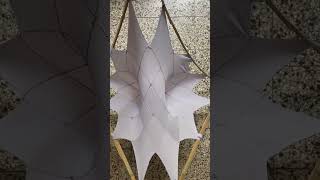 Parabolic ring cyclide