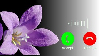 Mobile Ringtone 2026 Hindi Song Ringtone Best Ringtone Ringtone Download Incoming Call Ringtone 