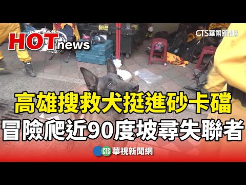 高雄搜救犬挺進砂卡礑 冒險爬近90度陡坡尋失聯者｜華視新聞 20240405