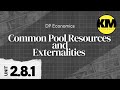 IB Economics 2.8.1: Common Pool Resources, Externalities & The Tragedy of the Commons