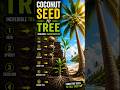 Coconut Seed to Tree 🌴 | Amazing Growth Timelapse | Nature's Incredible Transformation #shorts