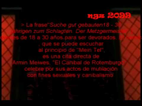 amv hellsing/ramsstein mein teil by zero genesis