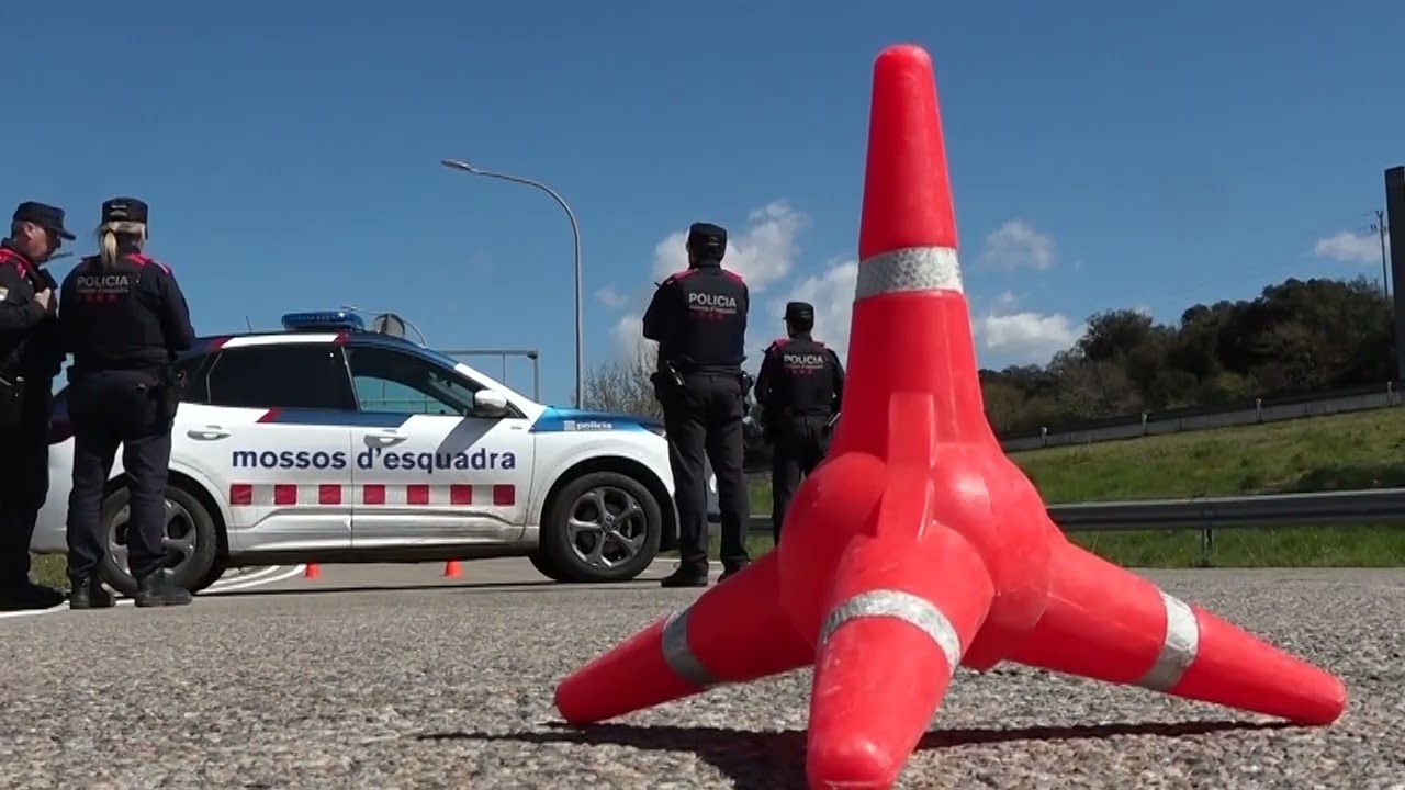 Una investigació policial destapa un punt de processament de marihuana en un habitatge a Fenals