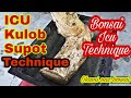 How to plant bonsai materials using ICU technique for beginners, bonsai philippines bonsai tree care