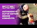 Bohos Kornél: Ne légy közönyös!