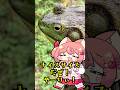 【 料理 】野池のウシガエルを、丸ごと美味しく頂くよ 【 #VTuber 】 #shorts