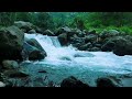 Peaceful Forest River Sounds 🌿 | Gentle Birdsong for Deep Sleep and Relaxation