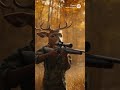 is Hunter season but it doesn't quite work out