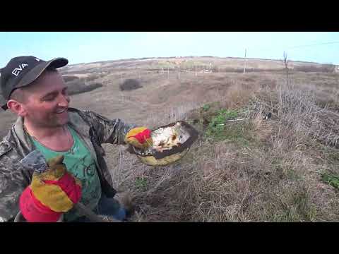 ВОТ ЭТО УДАЧА ПРИВАЛИЛА!