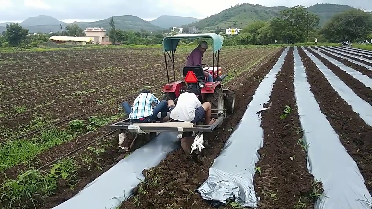 Use of Mulching Paper YouTube