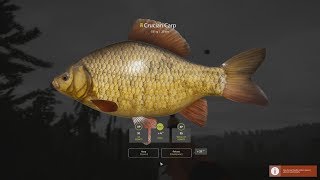 Trophy Gibel/Crucian Spot Russian Fishing 4 2020 4K screenshot 3