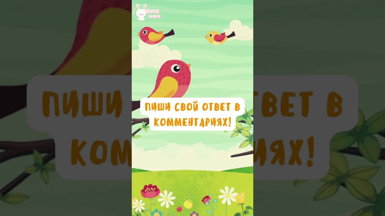 Миниквиз про птиц №3 | Квизкидс | Quizkids 