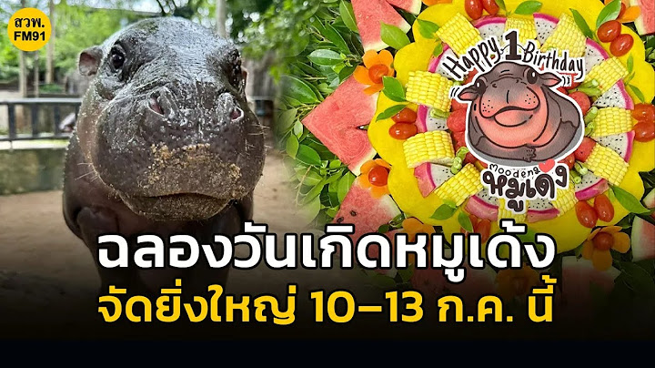 เขาเขียวจัดวันเกิด "หมูเด้ง" 1 ขวบ ให้เด็กเที่ยวฟรี 4 วัน 10–13 ก.ค.68