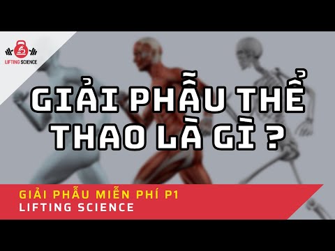 Video Series Giải Phẫu Thể Thao - Phần 1 | Giải phẫu là gì ?... - YouTube