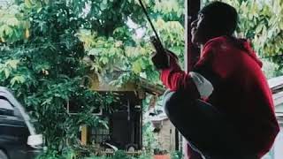 Ikan Lele Terbesar Di Dunia