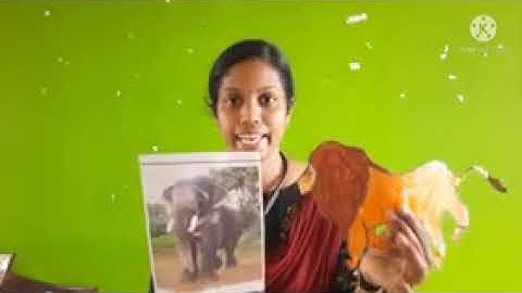 Std 2  English Unit 4 Class 32 White Board HI