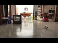 I miss a shot for soccer so I almost break another frame