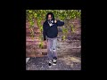 [FREE] Lucki x Veeze Type beat 2026 "Freak Party"