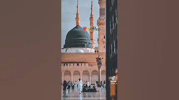 اغنية طاهر القلب نقي ذاكر لله 