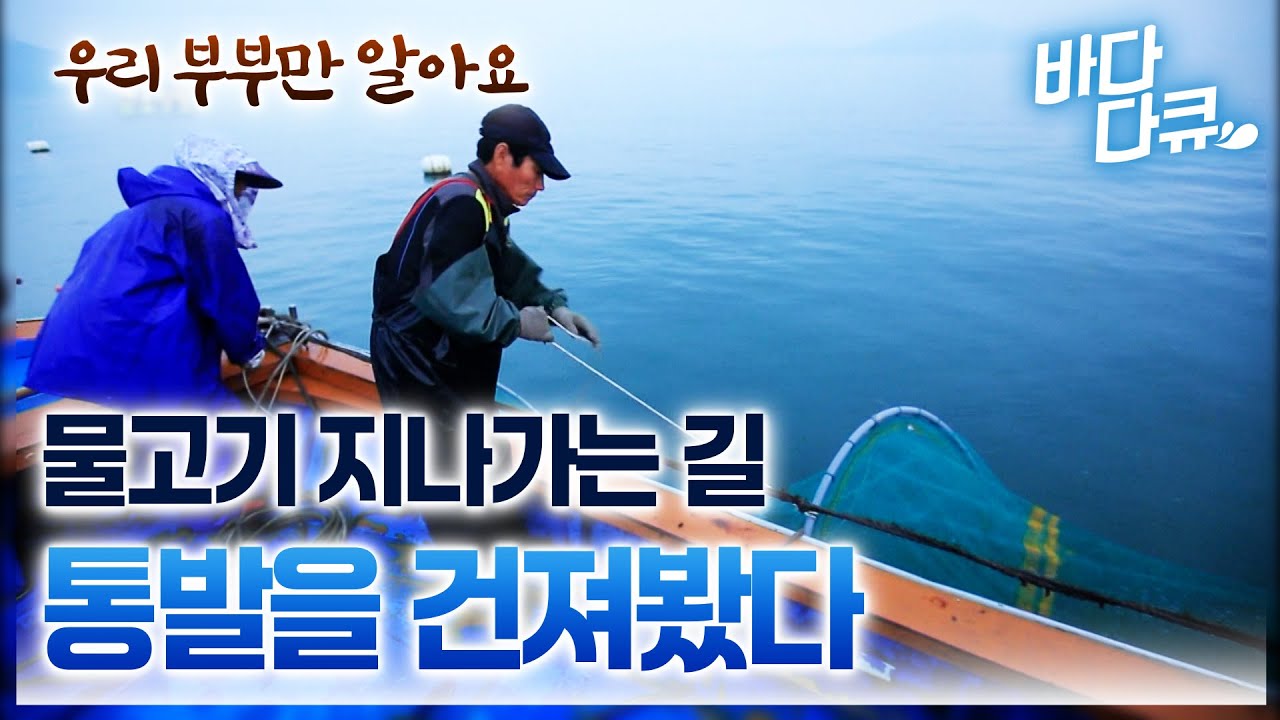 한적한 오지섬. 아무도 모르는 통발 포인트 다른 사람들은 몰라요/낚시 노부부 물고기 많은 바다에 툭 던져둔 통발 꺼내더니/ #바다다큐