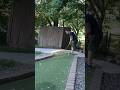 Luckiest Shots You’ll Ever Watch 🤯 #minigolf #minigolfing #golfnetwork #golfshorts #golf