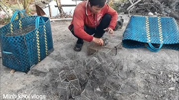 Bẫy chuột không cần mồi cái nào cũng dính tập 18.cuộc sống sinh tồn. Minh khôi vlogs
