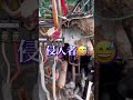 【閲覧注意】エアコン更新工事で発見！侵入者！OMG！