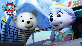 Misi Penyelamatan: Bayi Beruang Kutub Membutuhkan Bantuan Everest! | PAW Patrol | Episode Indonesia