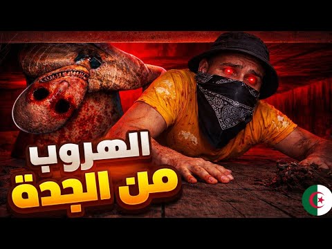 عودة الجدة سوليد س    