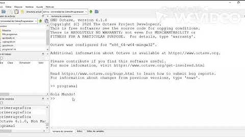 uso de comandos básicos dips e input en GNU Octave