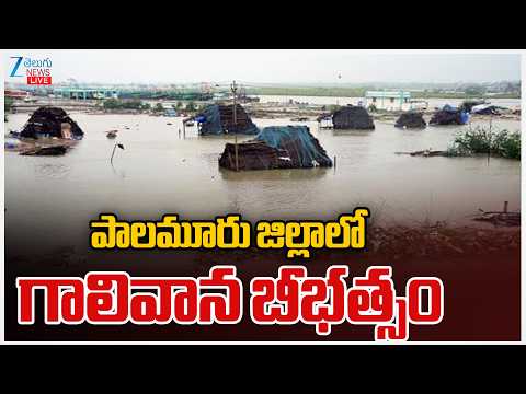LIVE:  Heavy Rains in Palamuru | పాలమూరు జిల్లాలో గాలివాన బీభత్సం | ZEE Telugu News - ZEE24TELUGUNEWS