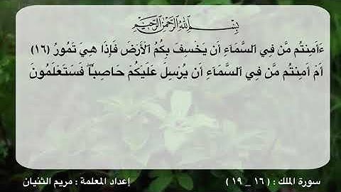 سورة الملك ١٦-١٩