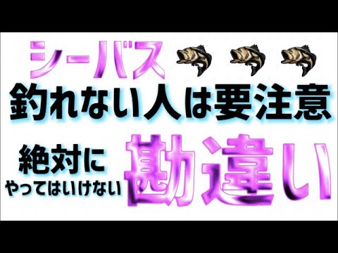 シーバス ありがちな勘違いが釣果を落とす 釣れない状況を打開する攻略方法 Youtube