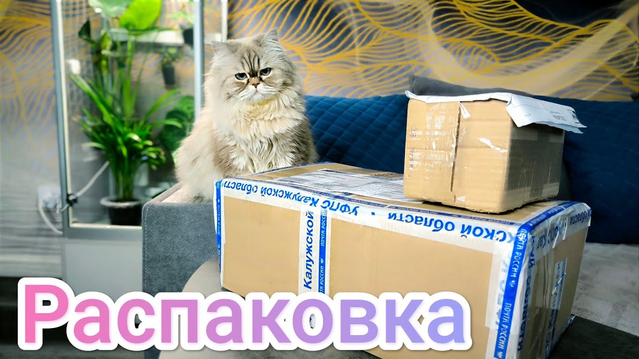 Распаковка новых растений/Как перенесли 9 дней почтой???