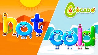 Hot&Cold Song | abcd song & Dance song for kids & Sing-Along and dance | AVOCADO abc