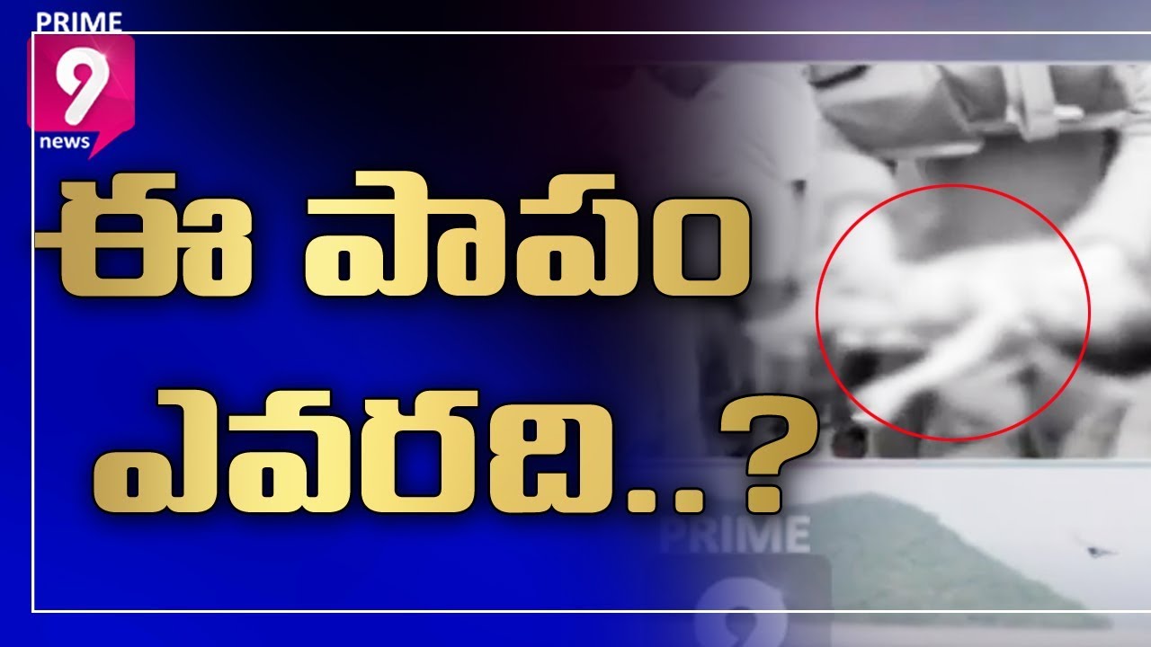 AP Govt Orders Magisterial Inquiry on Devipatnam Boat Mishap | Prime9 News
