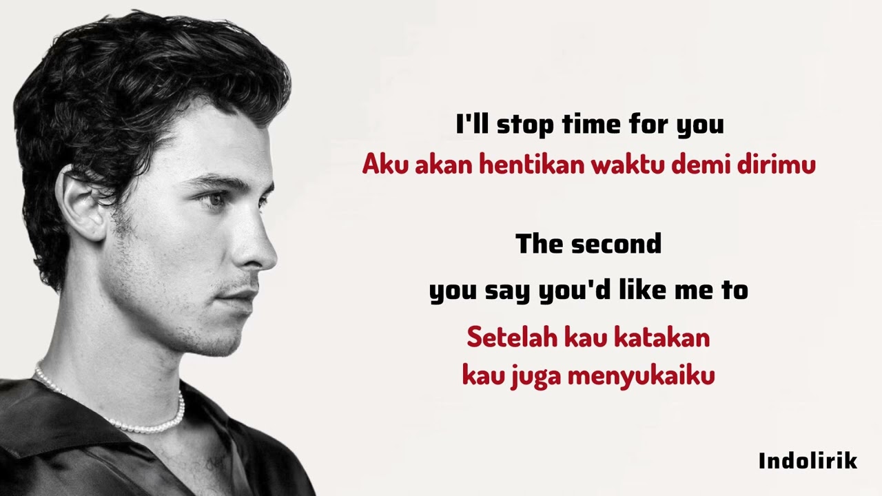 Shawn Mendes - Treat You Better | Lirik Terjemahan