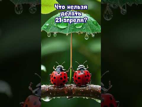 21 апреля народные приметы. Приметы 21 апреля. 21 апреля именины #народныеприметы