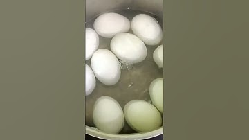 trứng lộn luộc nước dừa bào nhiêu phút.... #shorts