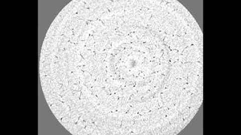 Electrical tree X-ray tomography cross-section