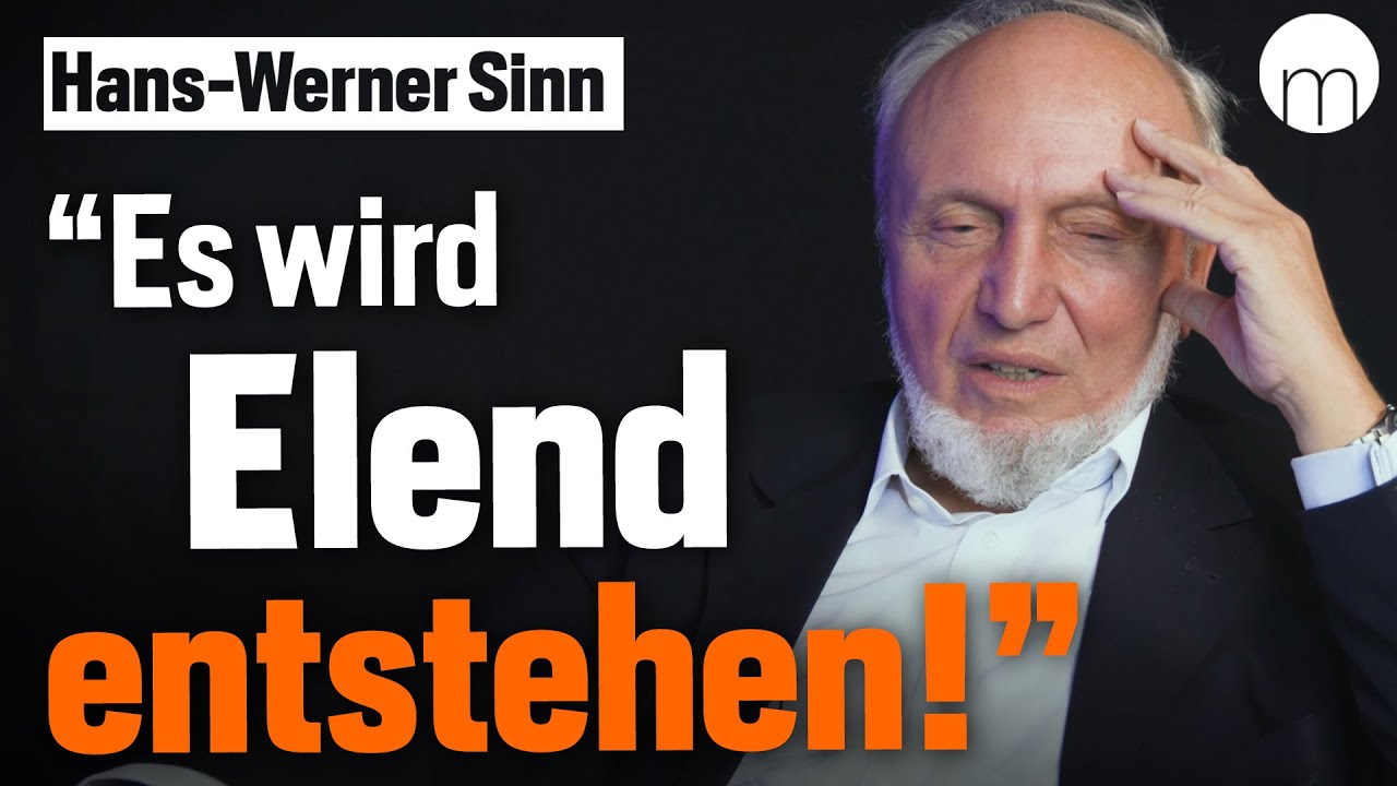 Wirtschaftsexperte zerlegt Ampel-Politik: „Ökonomischer Unsinn“