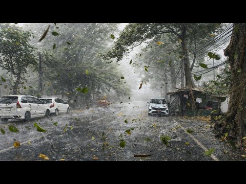 Rani Chania  - Hitam Bukan Putih  (Official Music Video)