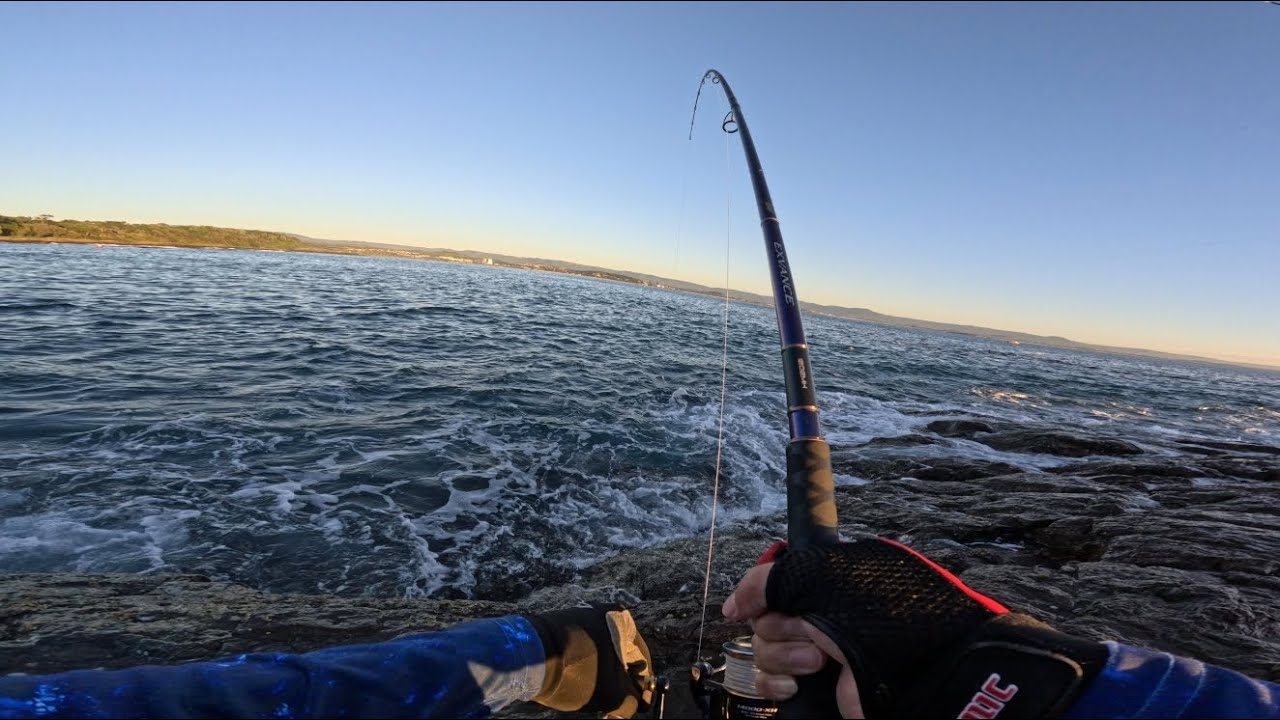 Bonito Rig ROCK FISHING || SHELL HARBOUR || MC TUNA || BONITO || STRONG WIND ...